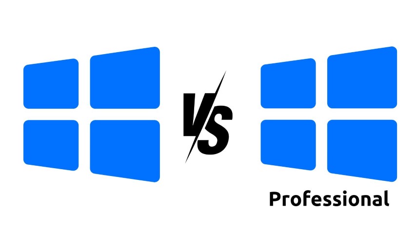 Windows 11 Single Language vs Professional