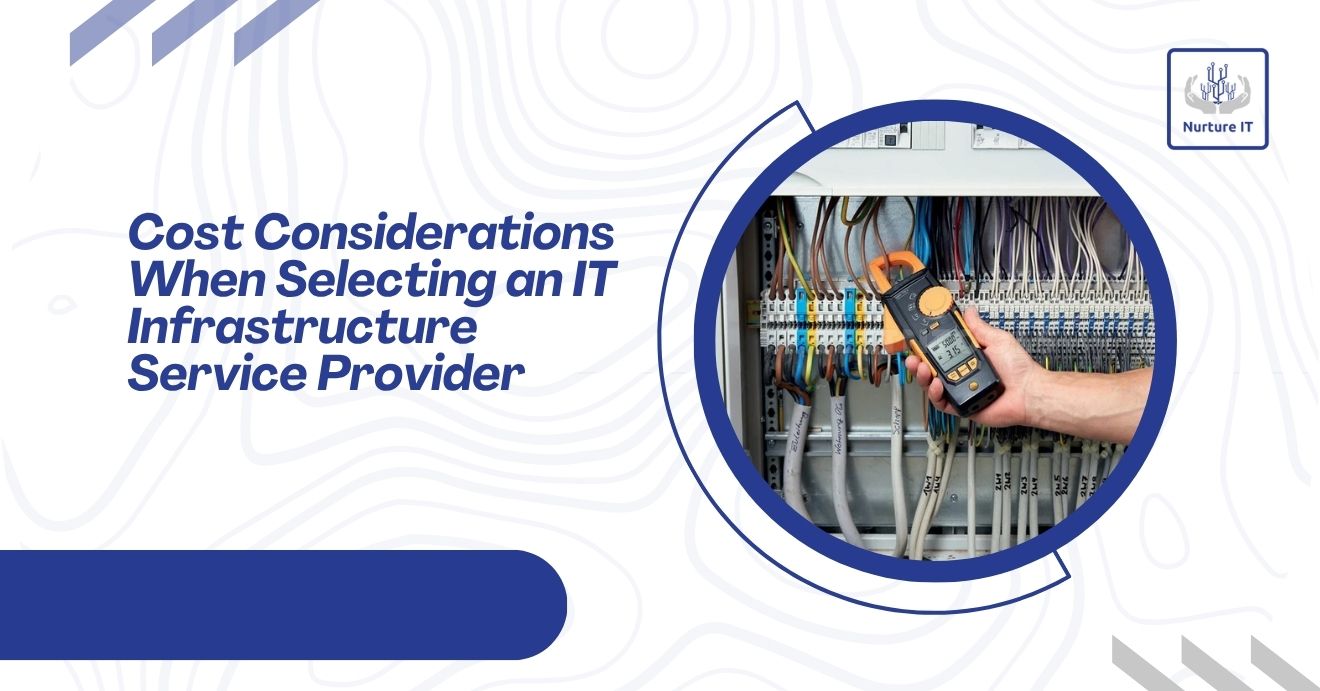 IT infrastructure service provider