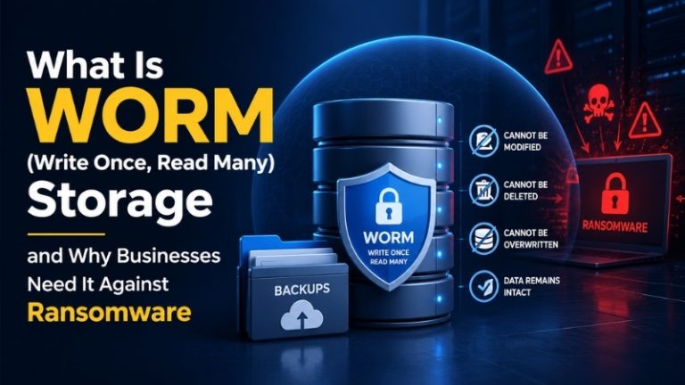 What Is WORM (Write Once, Read Many) Storage